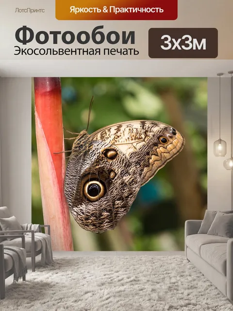 Фотообои Сад бабочек бенальмадена