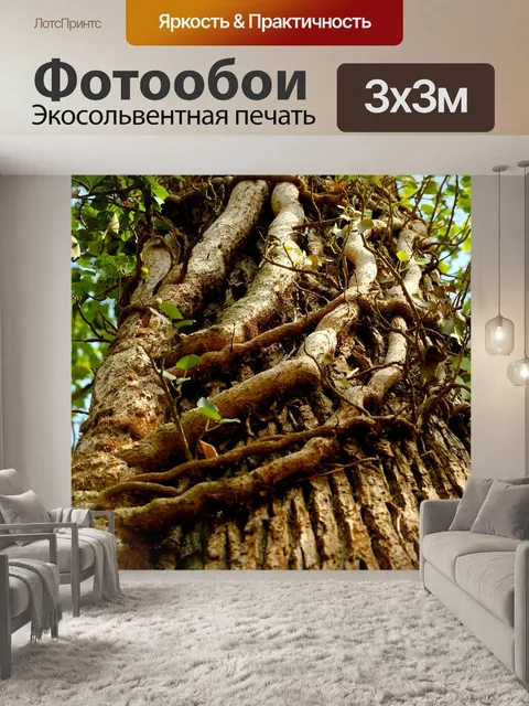 Фотообои Плющ