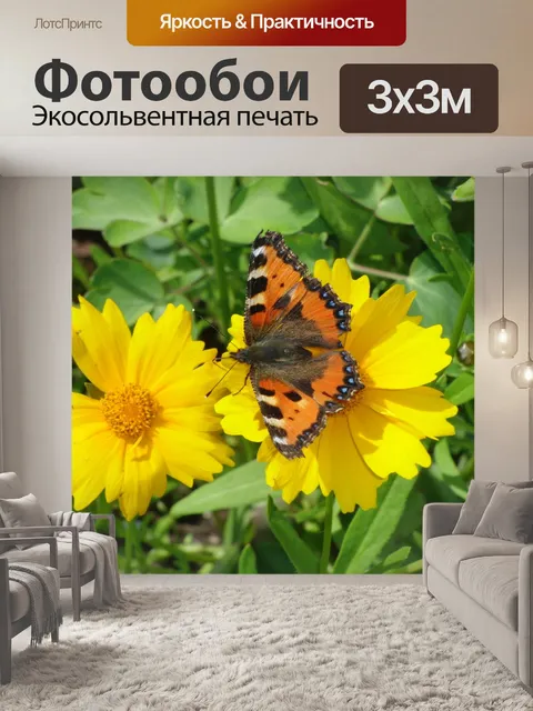 Фотообои Мало лисица