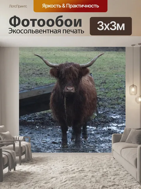 Фотообои Коров