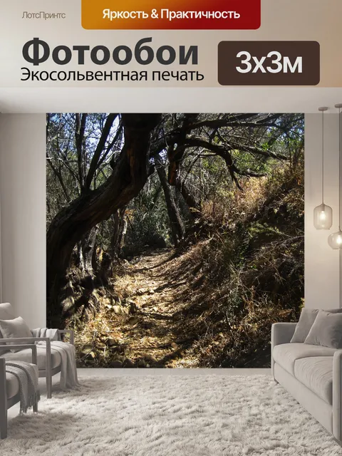 Фотообои толстый ствол гнутого дерева