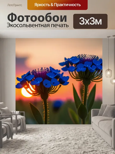 Фотообои цветы на фоне красивого заката