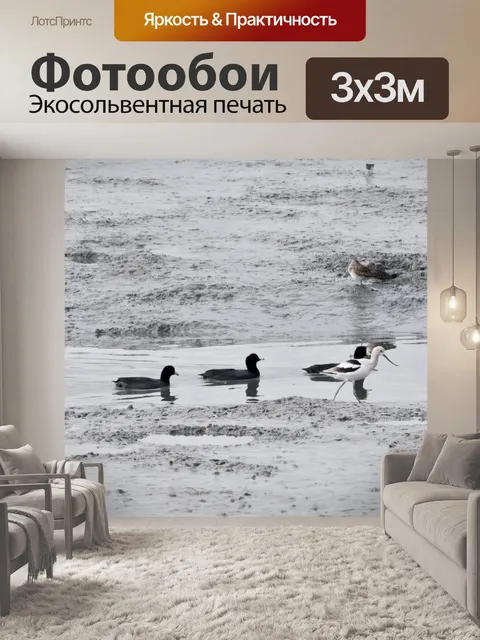 Фотообои Coots на потоке