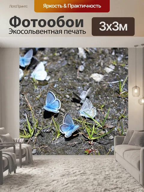 Фотообои Бабочка