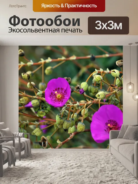 Фотообои Горячие розовые цветы