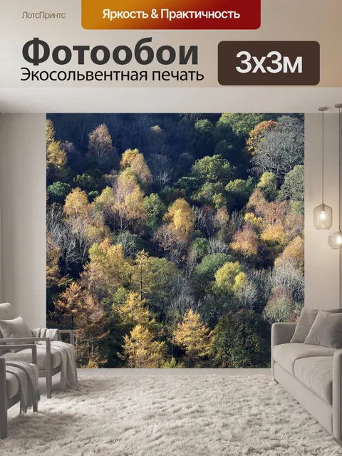 Фотообои Лес