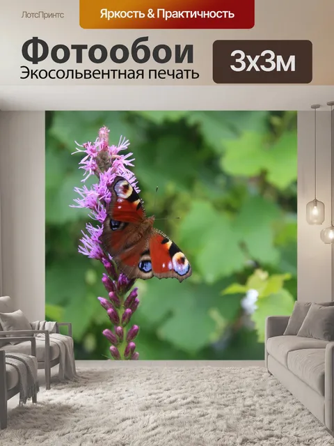 Фотообои Бабочка