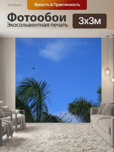 Фотообои голубое небо над пальмами