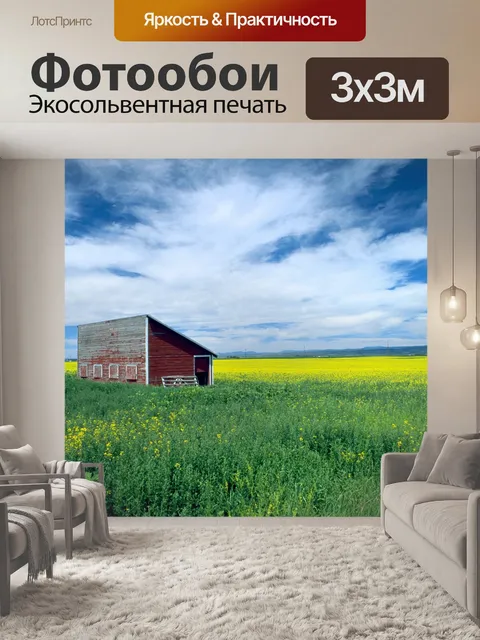 Фотообои Рапса