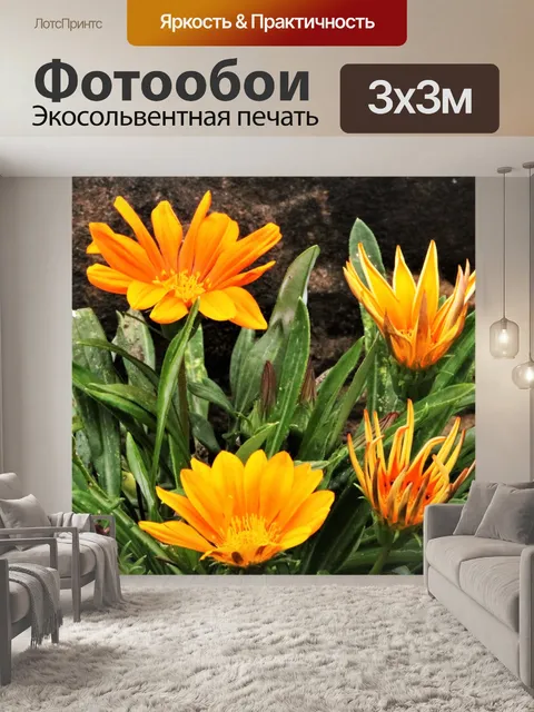 Фотообои Четыре оранжевые цветы Газании