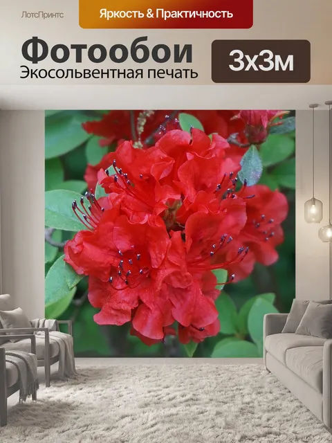 Фотообои Кластер красная азалия