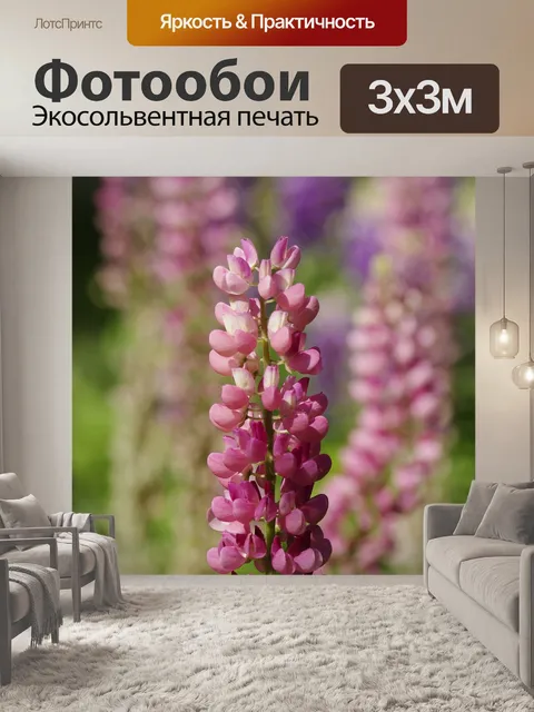 Фотообои Люпины