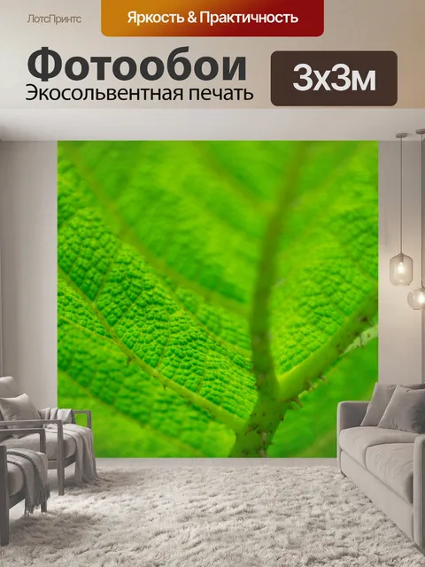 Фотообои Макрос зеленого листа