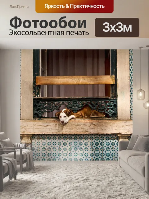 Фотообои Собака