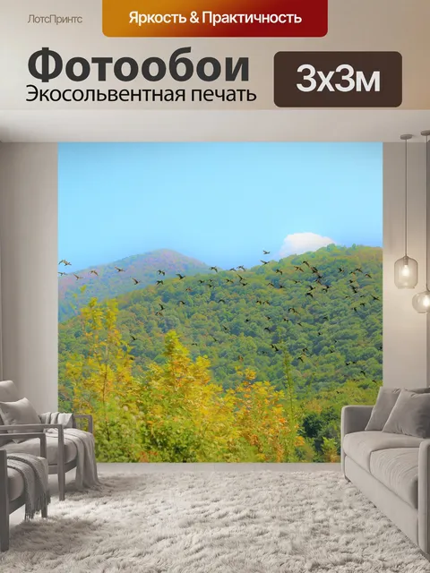 Фотообои Птицы