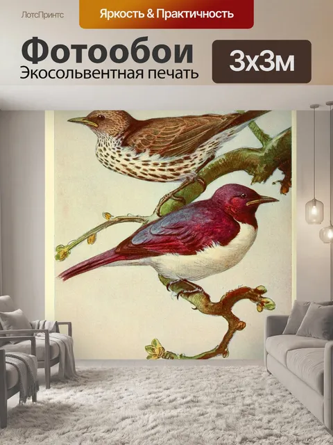 Фотообои Винтажная птица старая иллюстрация