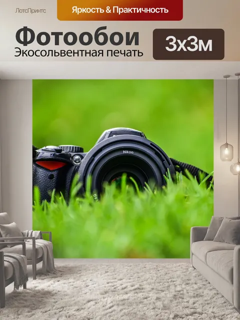 Фотообои Камеры в ровном