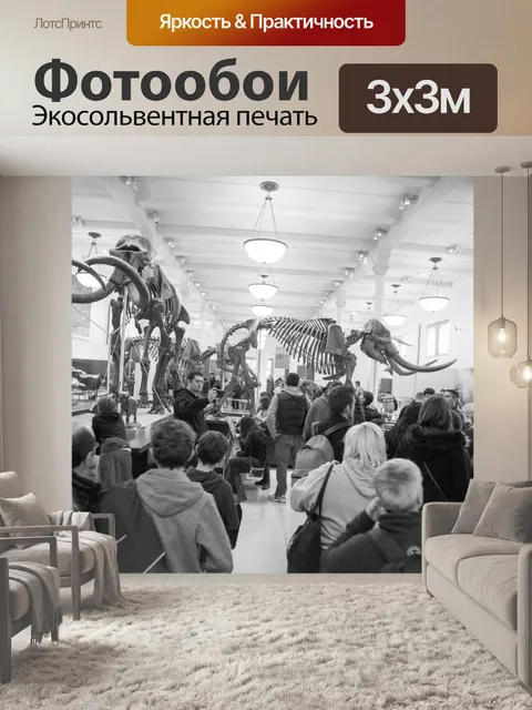 Фотообои Американский музей естественной истории