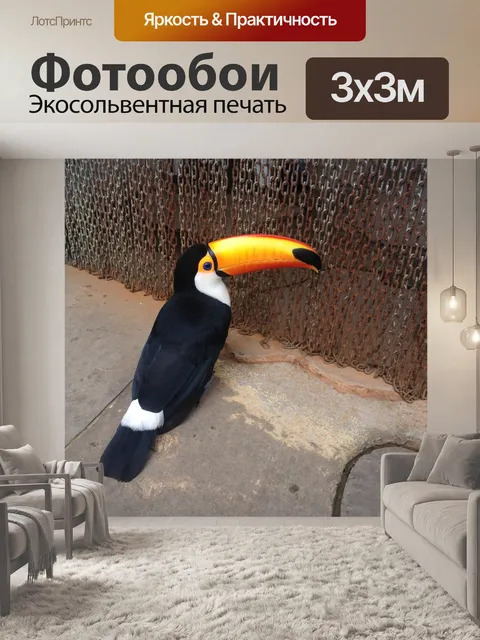 Фотообои Тукан