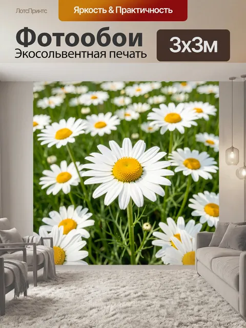 Фотообои Ромашковое поле в цвету