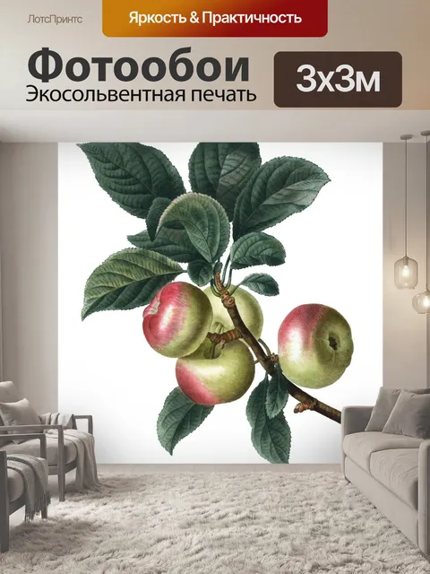 Фотообои Винтажное искусство иллюстрации яблоко