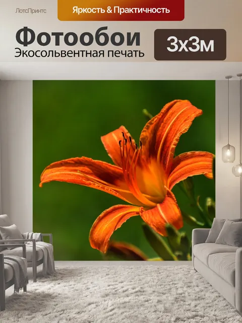 Фотообои Лили