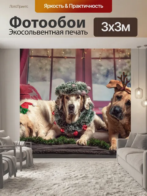 Фотообои Собака