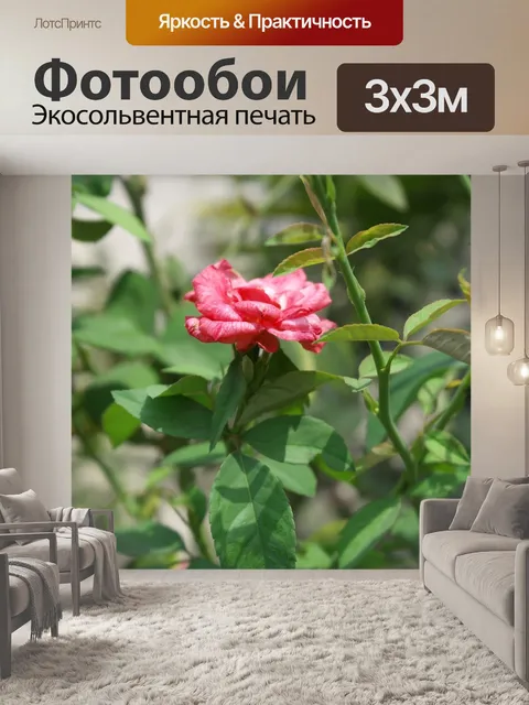 Фотообои Цветы
