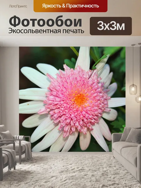 Фотообои нежно-розовый ромашка