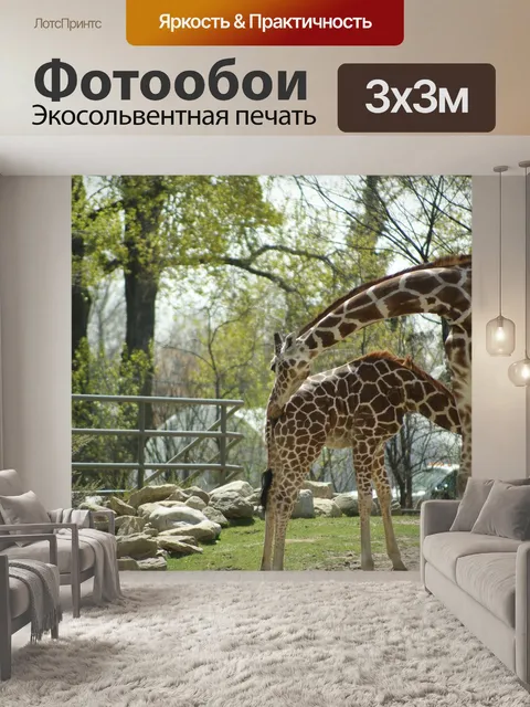 Фотообои Жирафа