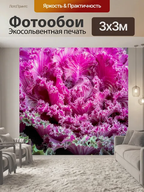 Фотообои Декоративная капуста