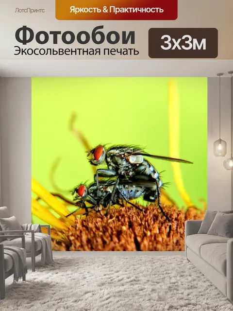 Фотообои Макрос
