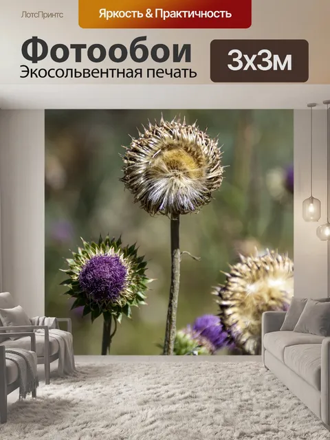 Фотообои кардоновые растения