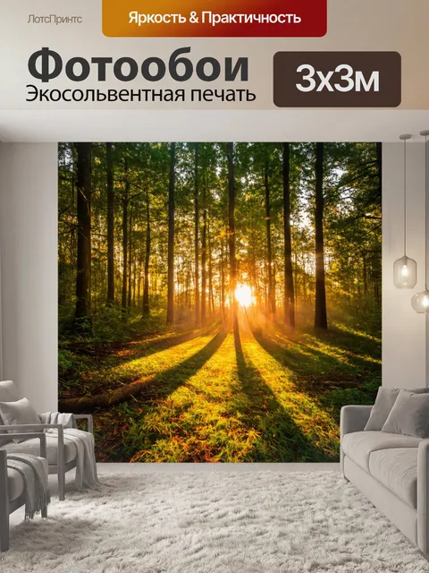 Фотообои закат в лесу, где солнечные лучи пробиваются сквозь листву, создавая причудливые узоры на земле