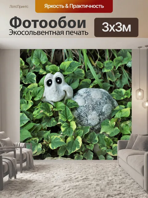 Фотообои Хамелеон и черепаха