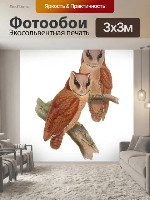 Фотообои Птица