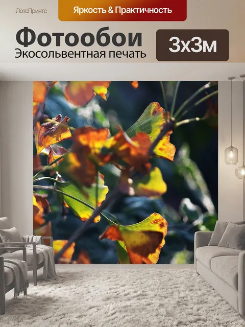Фотообои осенние краски на гинкго билоба
