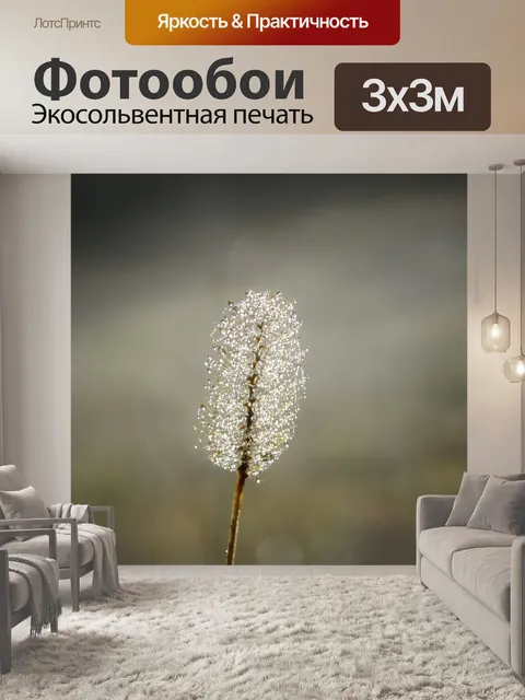 Фотообои Трава