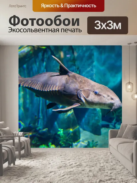 Фотообои рыба под водой