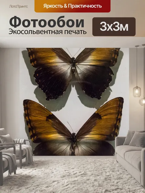 Фотообои Бабочки