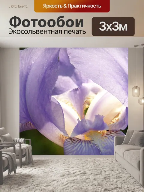 Фотообои Лаванда Iris