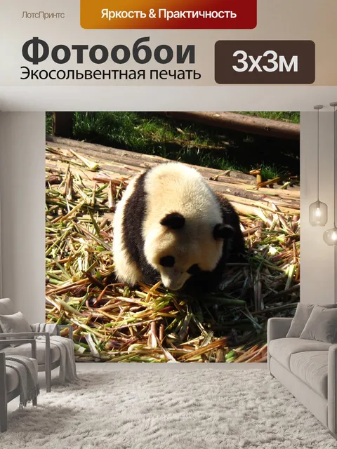 Фотообои Панда