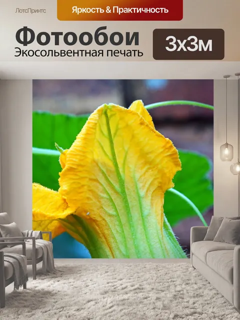 Фотообои сеть на желтом цветке тыквы
