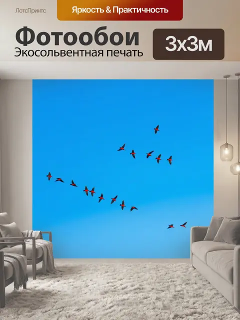 Фотообои безоблачноe утреннее небо с яркими птицами