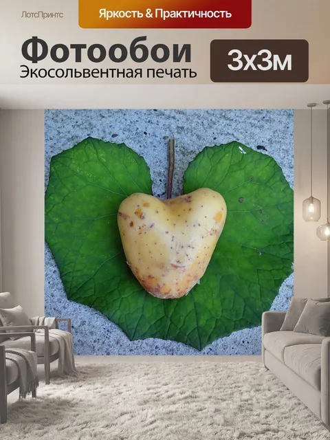 Фотообои Сердце