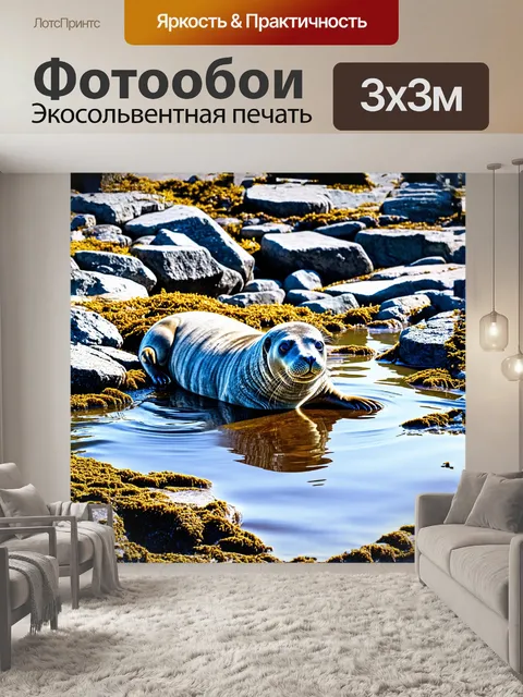 Фотообои серый тюлень, вышедший на мелководье, выбирает место для отдыха на обломках серого камня, окруженного яркими…