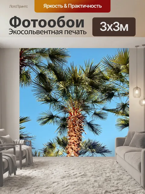 Фотообои Небо