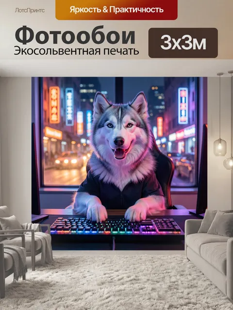 Фотообои Хаски за компьютером ночью