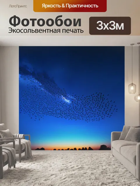 Фотообои небо ночи с летящими фантастическими птицами