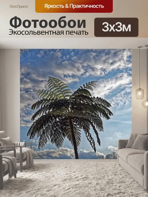 Фотообои Пальма